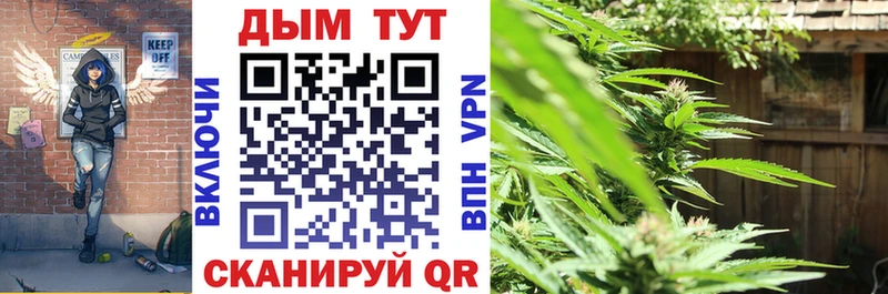 Шишки марихуана SATIVA & INDICA  Апрелевка 